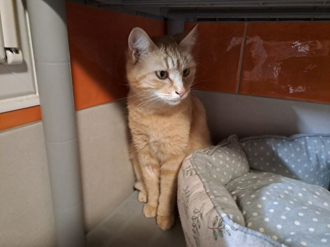 Photo #2 de Tia reservee