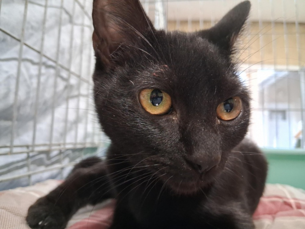 Photo #1 de Charmina