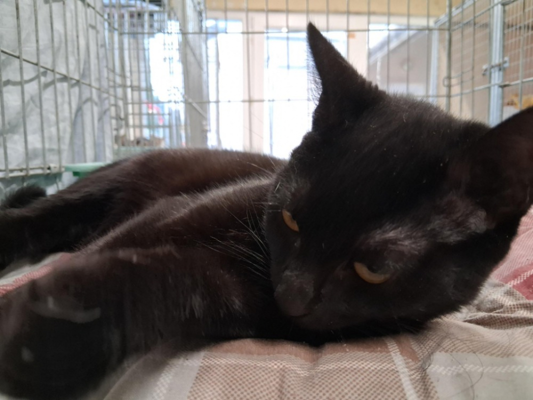 Photo #2 de Charmina