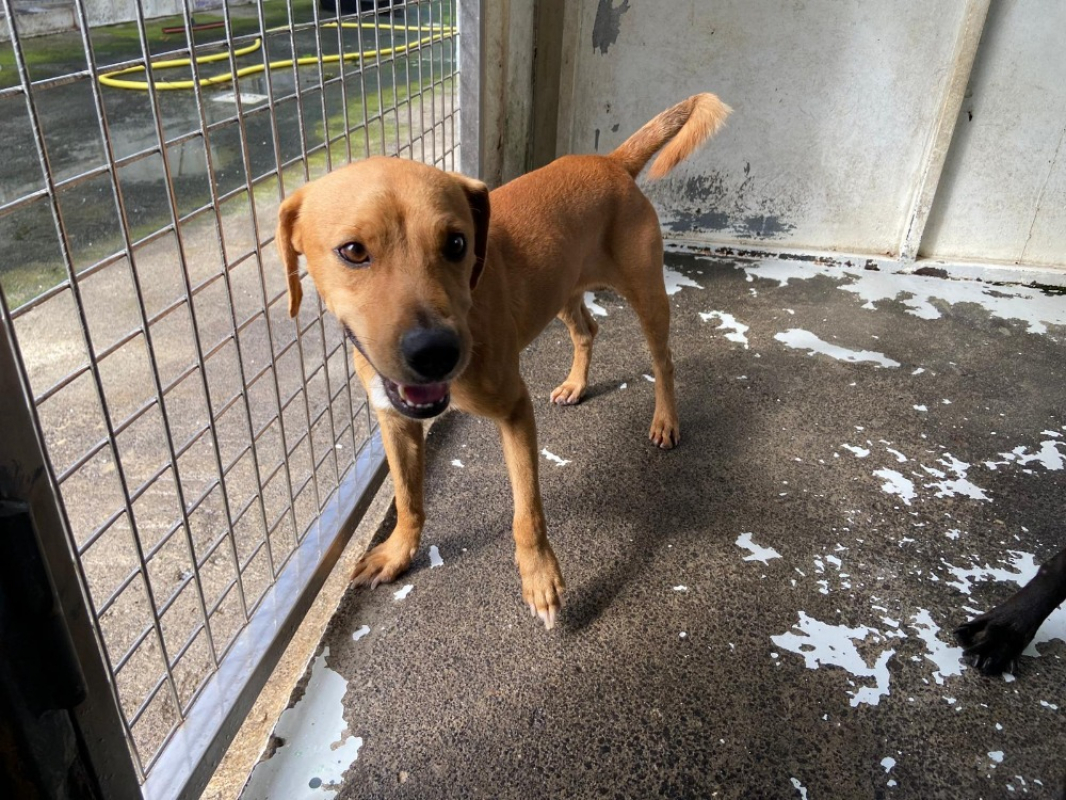 Photo #1 de Parvatti