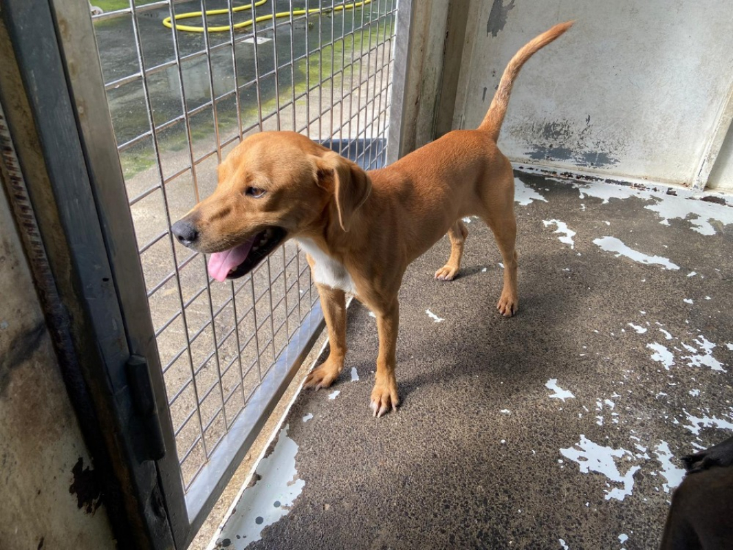 Photo #2 de Parvatti