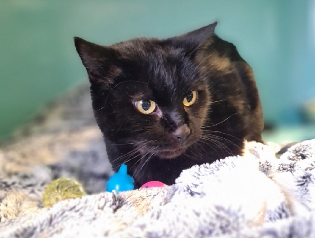 Photo de Osiris reservé