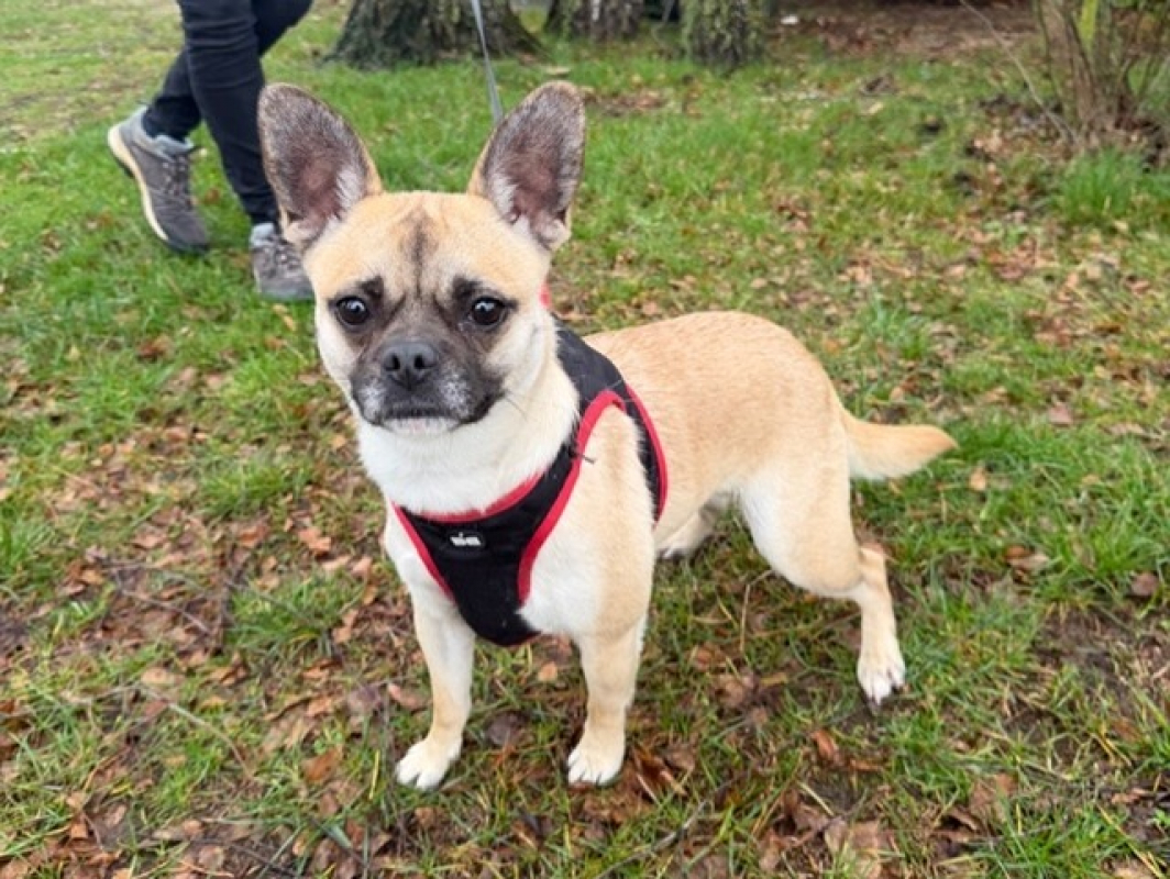 Photo #1 de Victoire