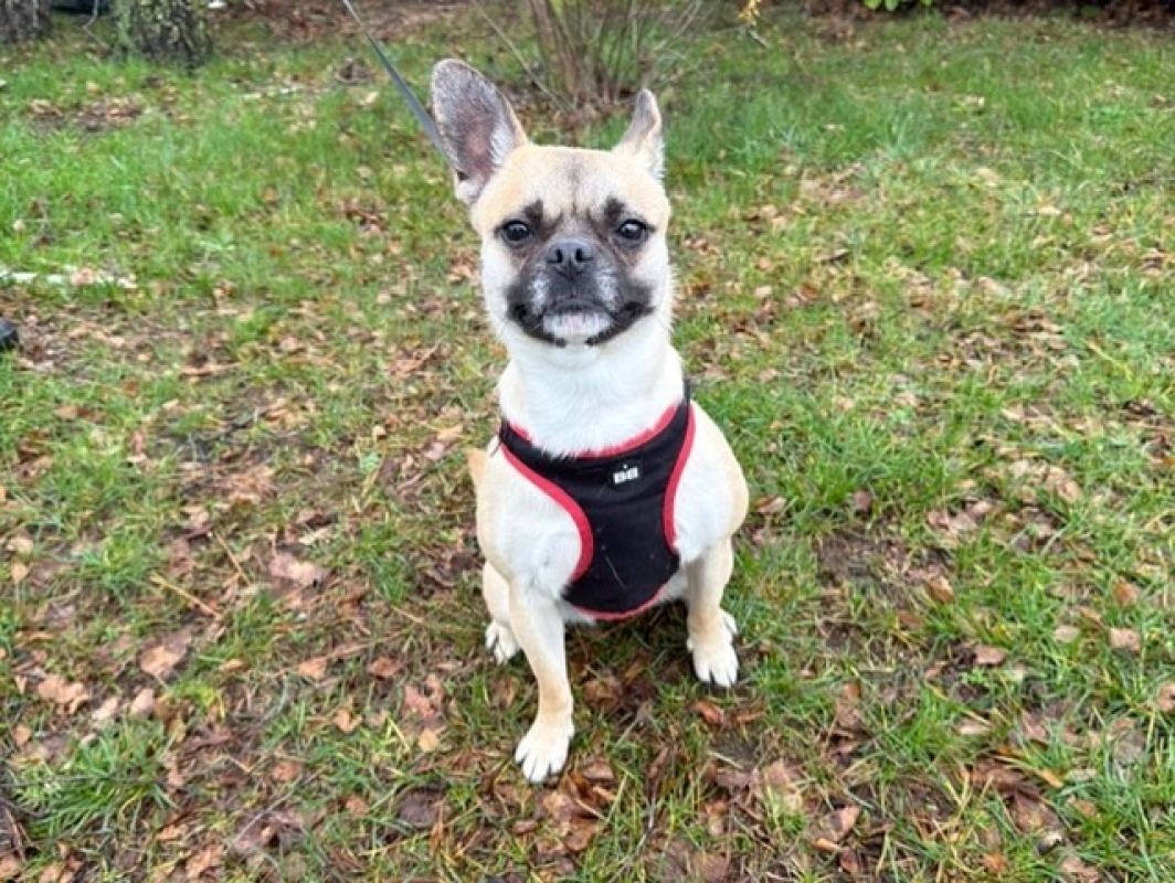 Photo #2 de Victoire