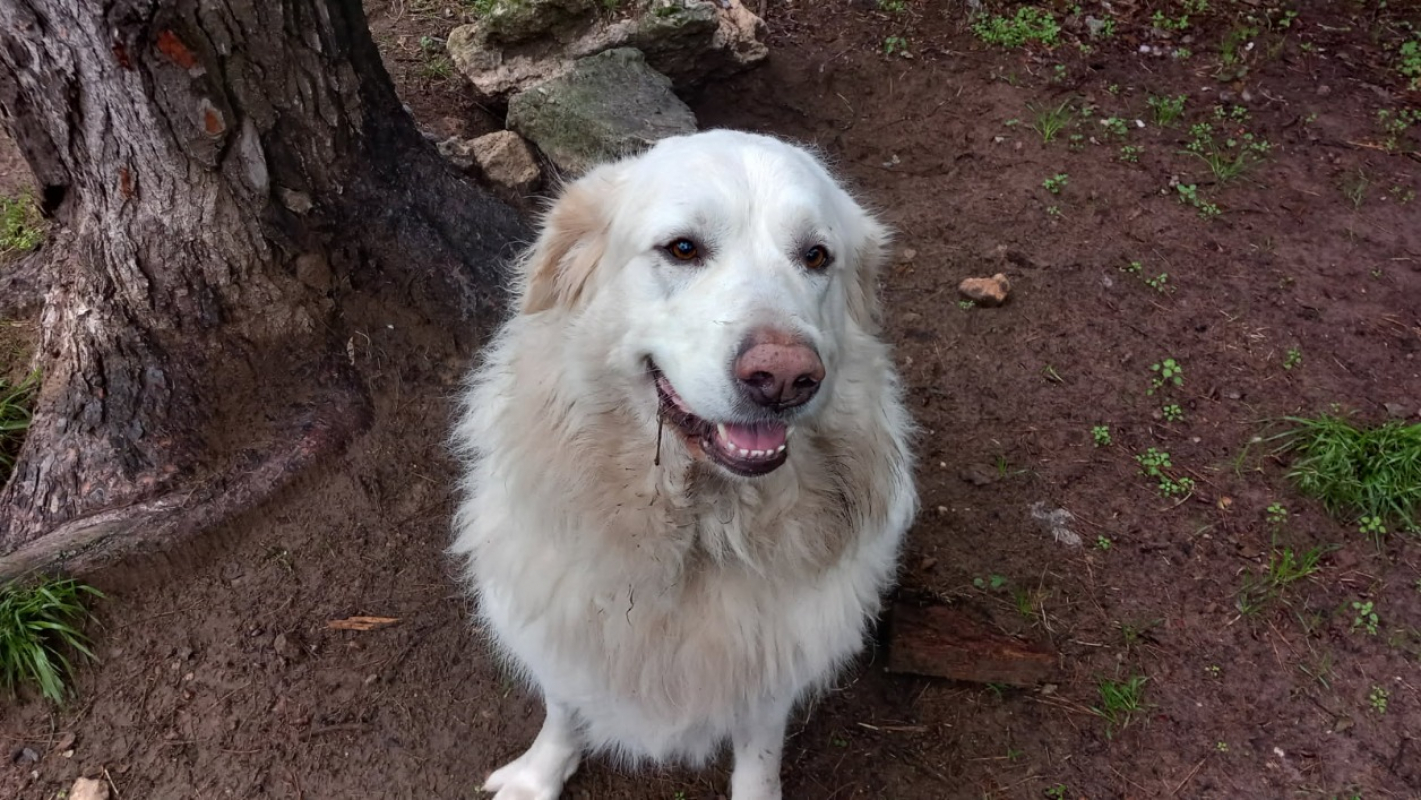 Photo de Zouna belle