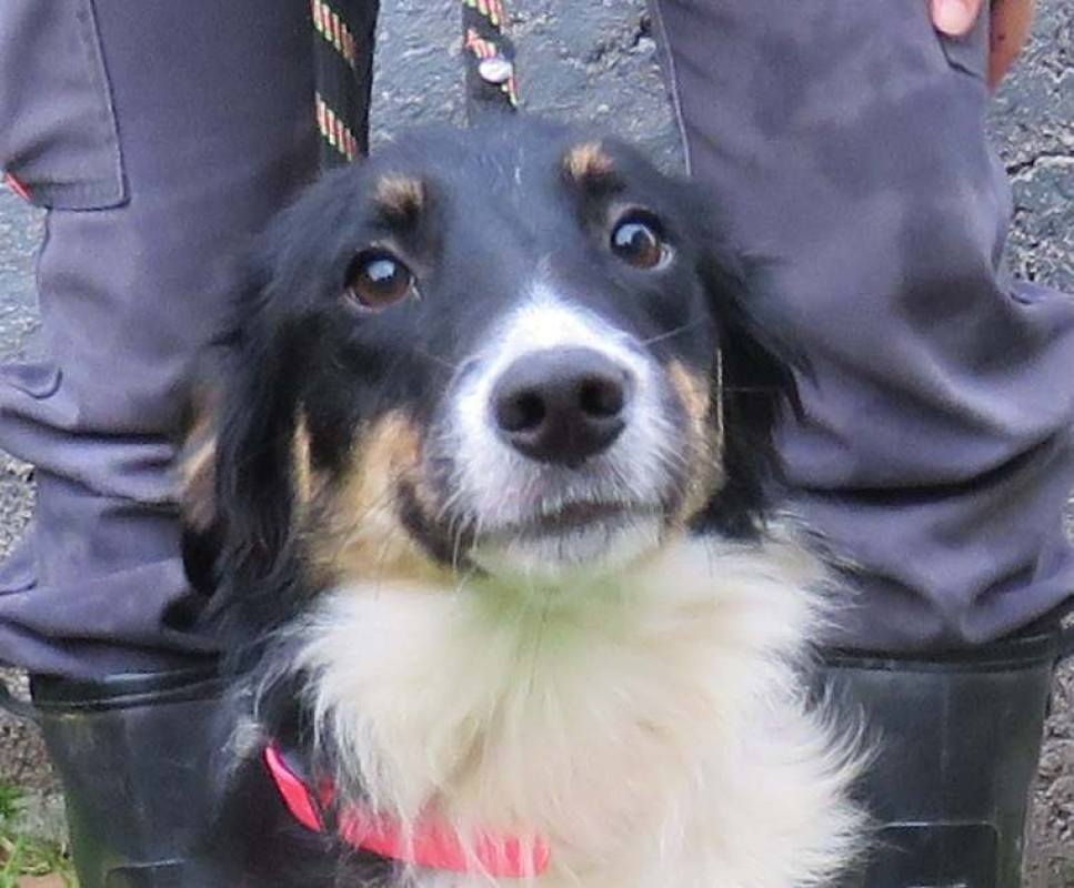 Photo #1 de Boulette