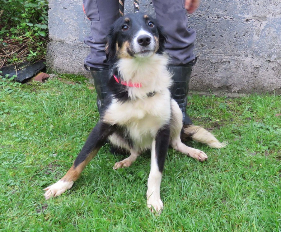 Photo #2 de Boulette