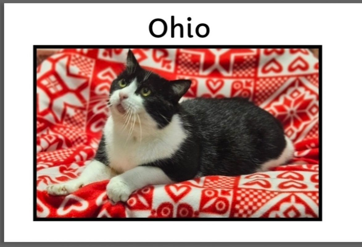 Photo de Ohio