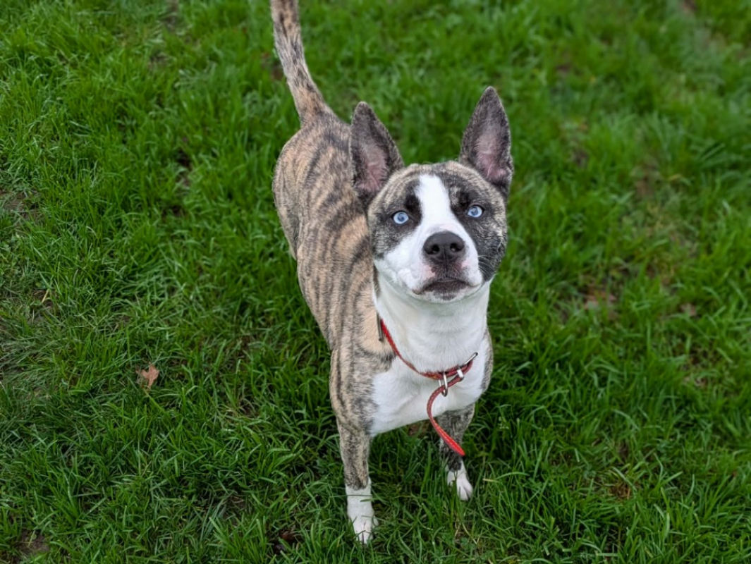 Photo #3 de Valrhona