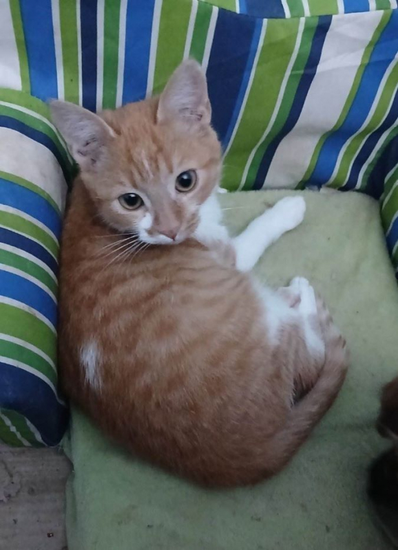 Photo #1 de O'Malley