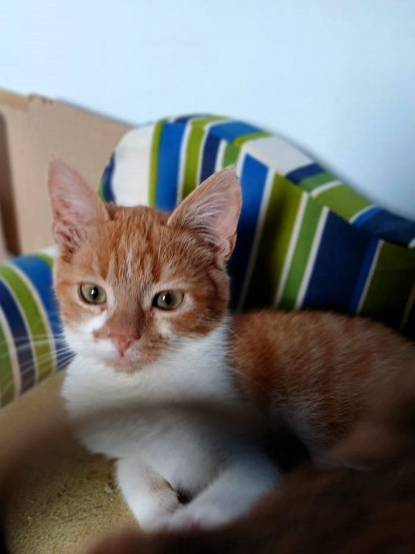 Photo #2 de O'Malley