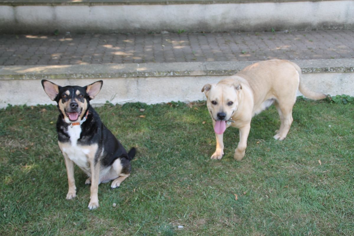 Photo #1 de LENA & KISS