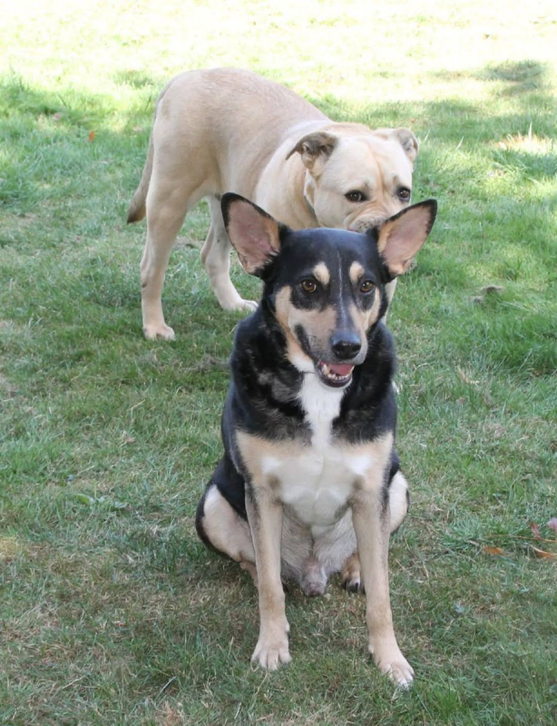 Photo #2 de LENA & KISS