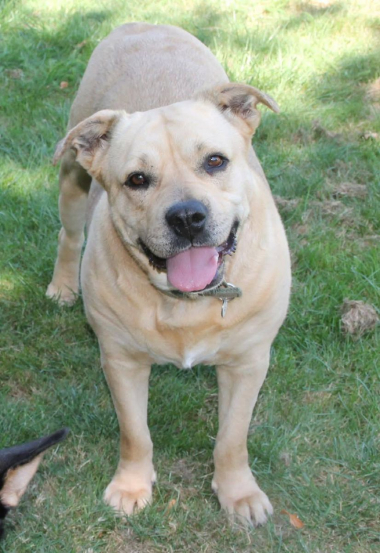 Photo #4 de LENA & KISS