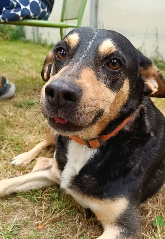 Photo #5 de LENA & KISS