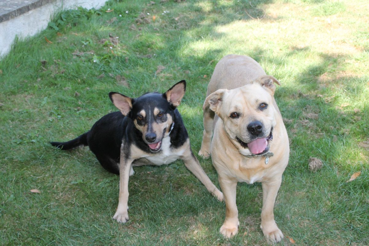 Photo #6 de LENA & KISS