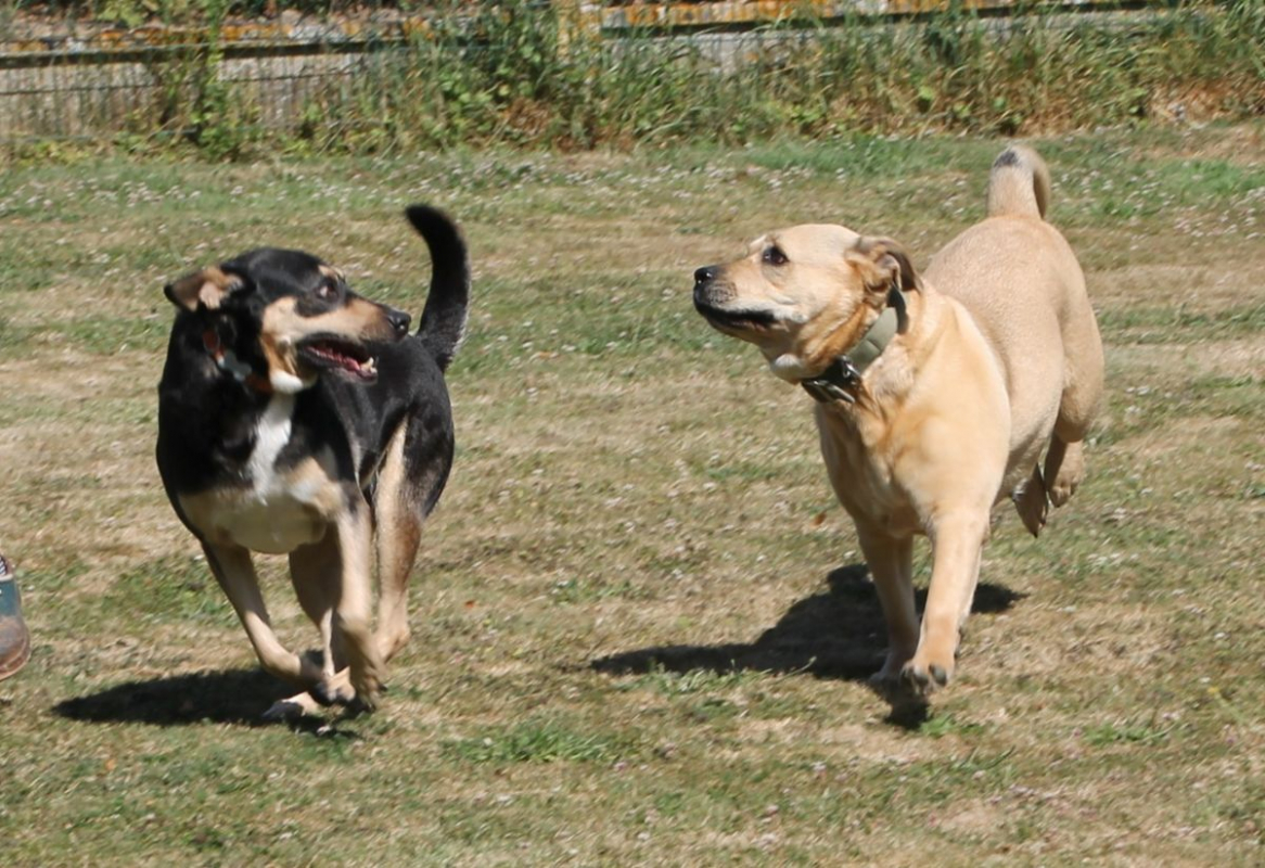 Photo #7 de LENA & KISS