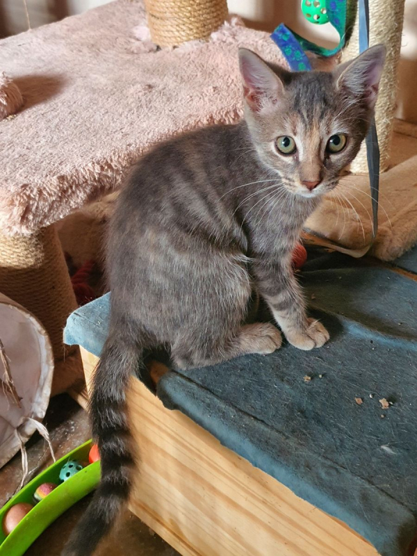 Photo #1 de Unedeplus