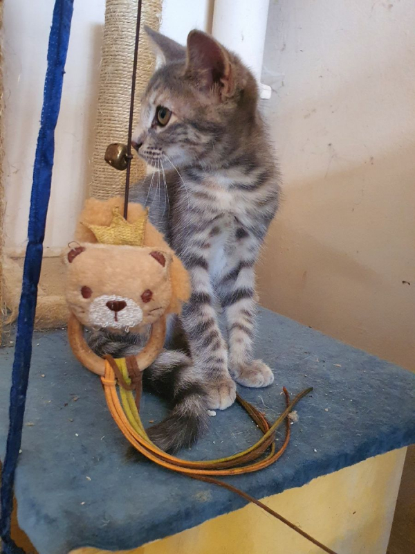 Photo #2 de Unedeplus