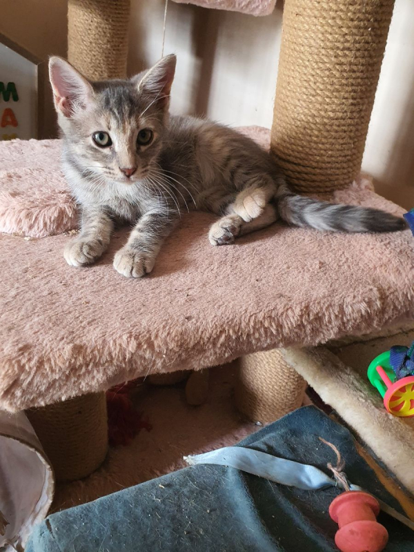 Photo #3 de Unedeplus