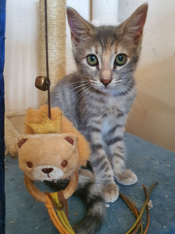 Photo #4 de Unedeplus