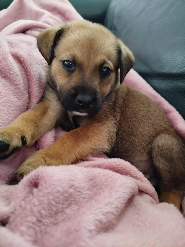 Photo #3 de ATHENA
