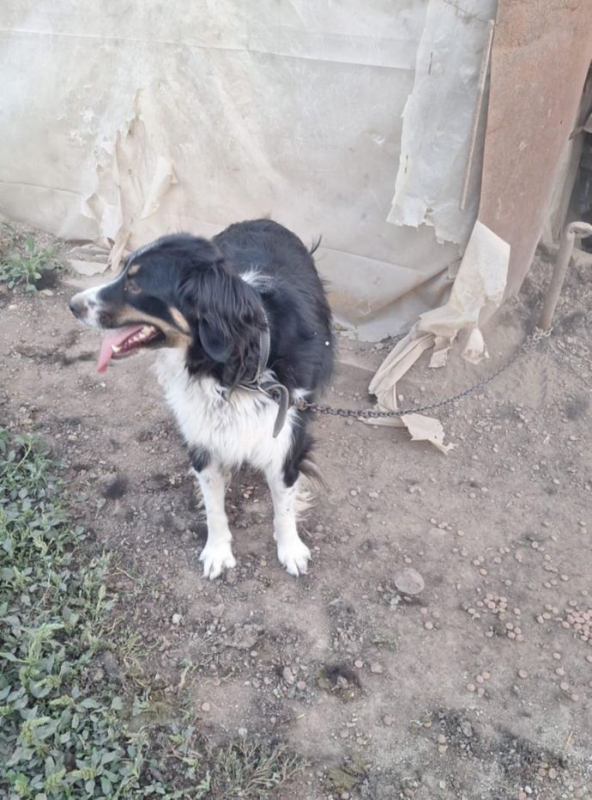 Photo #2 de Céleste