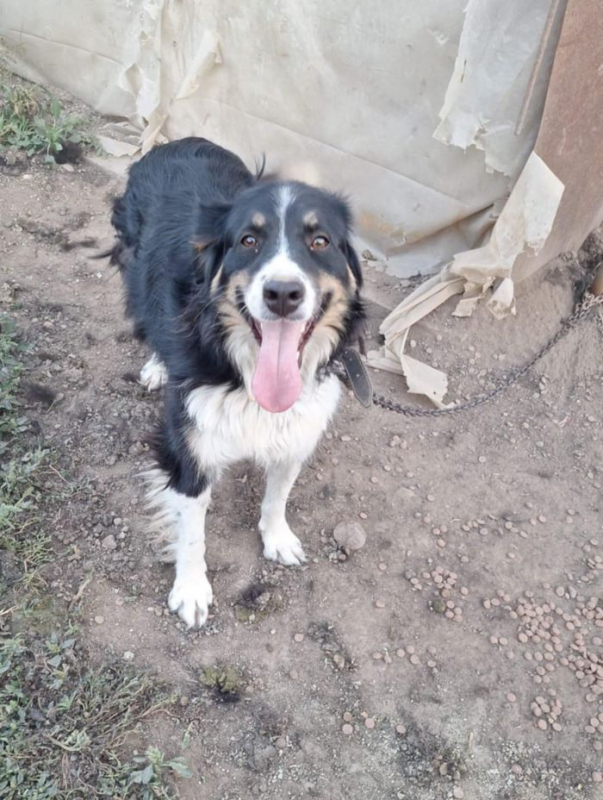 Photo #3 de Céleste