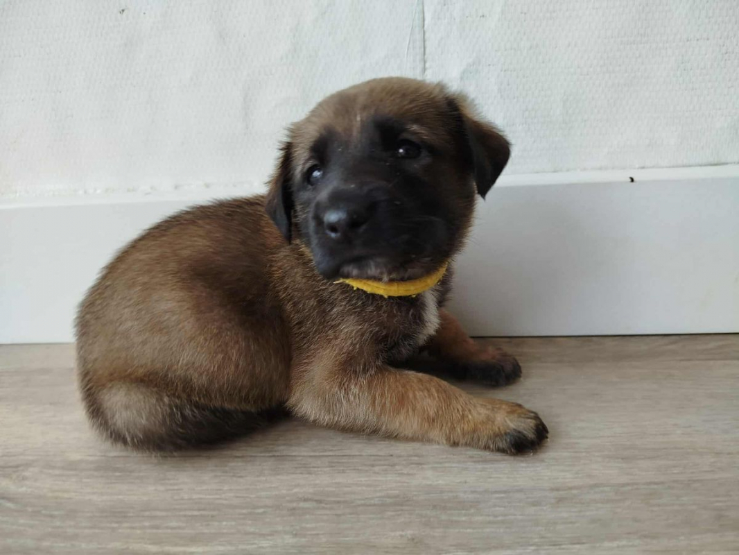Photo #1 de AKINA