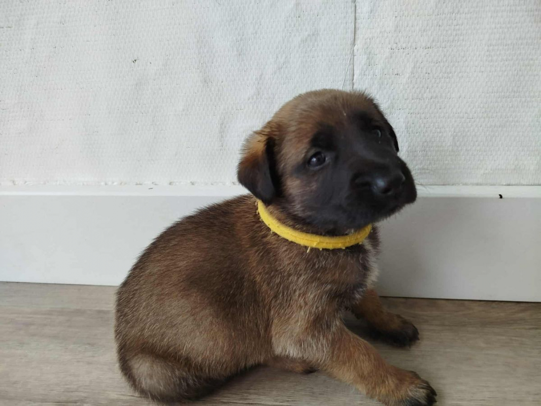Photo #3 de AKINA