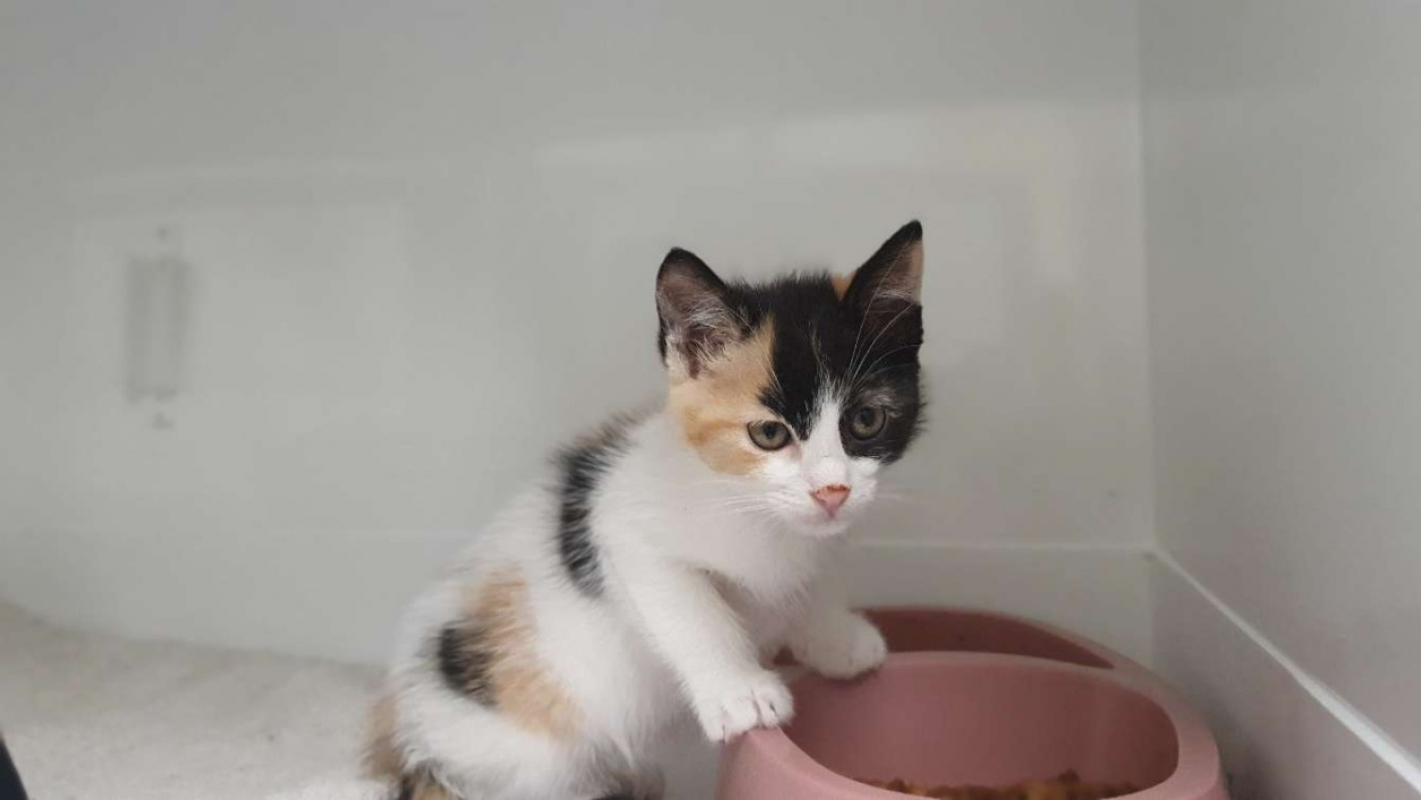 Photo de Passion *réservé*