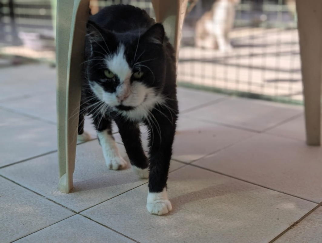 Photo #3 de Fantasio