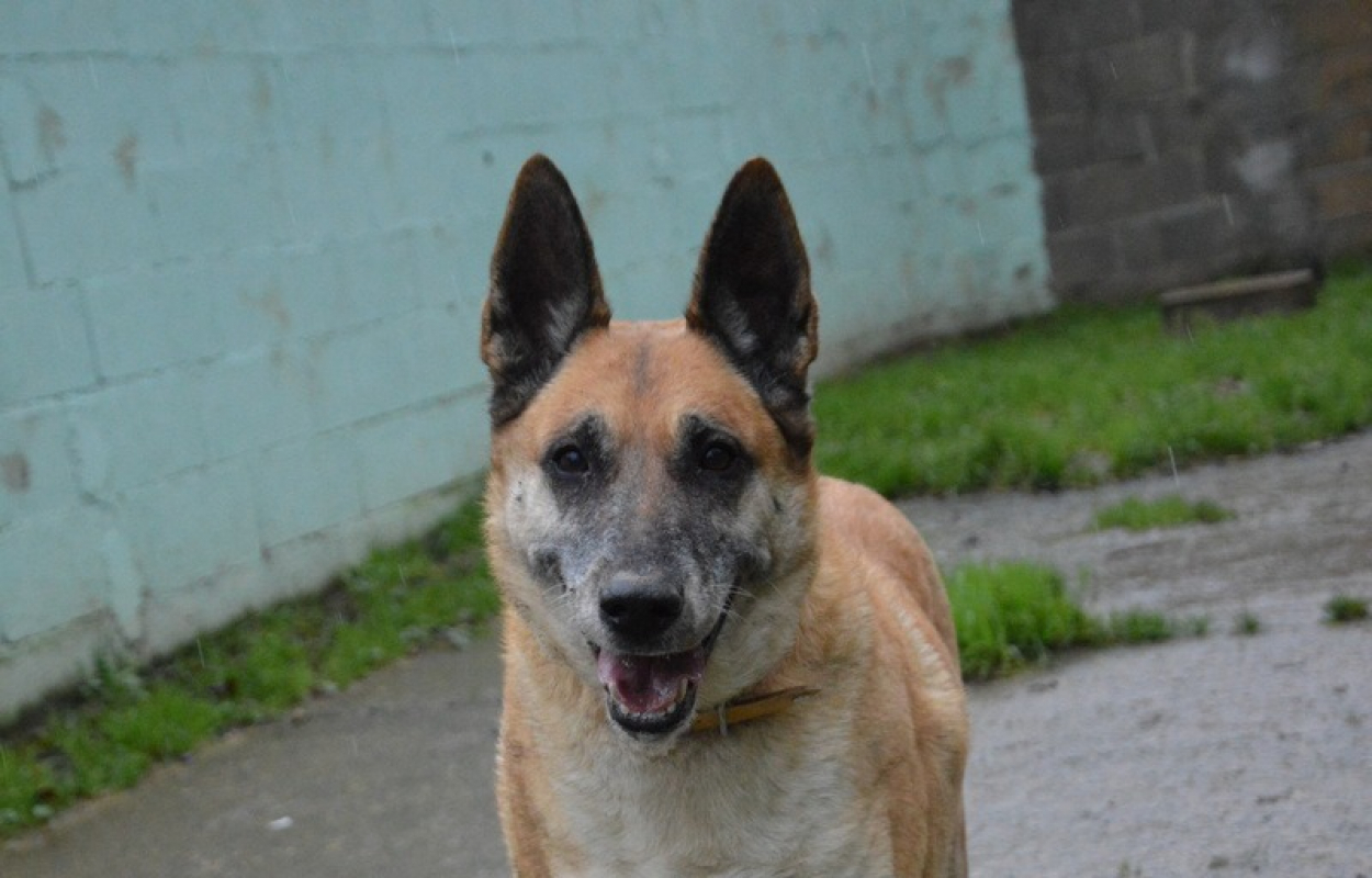 Photo #1 de Lucky dit vicky