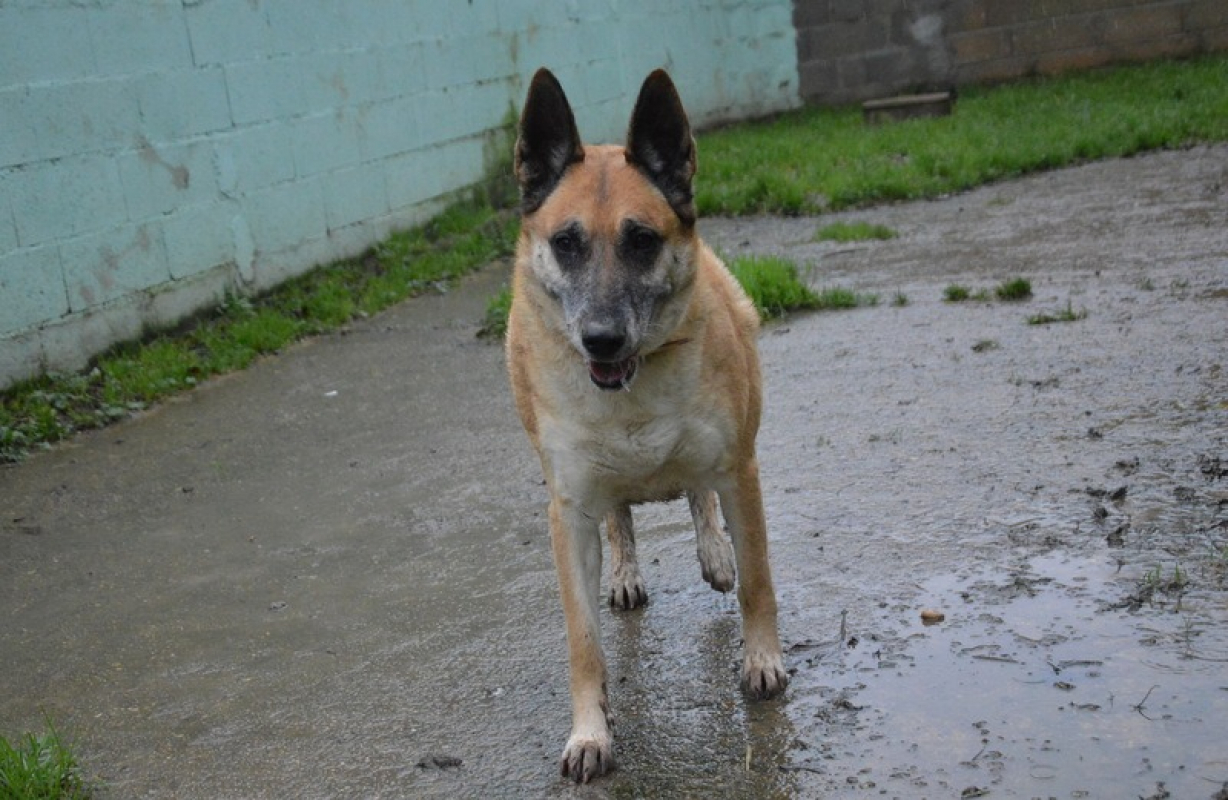 Photo #3 de Lucky dit vicky