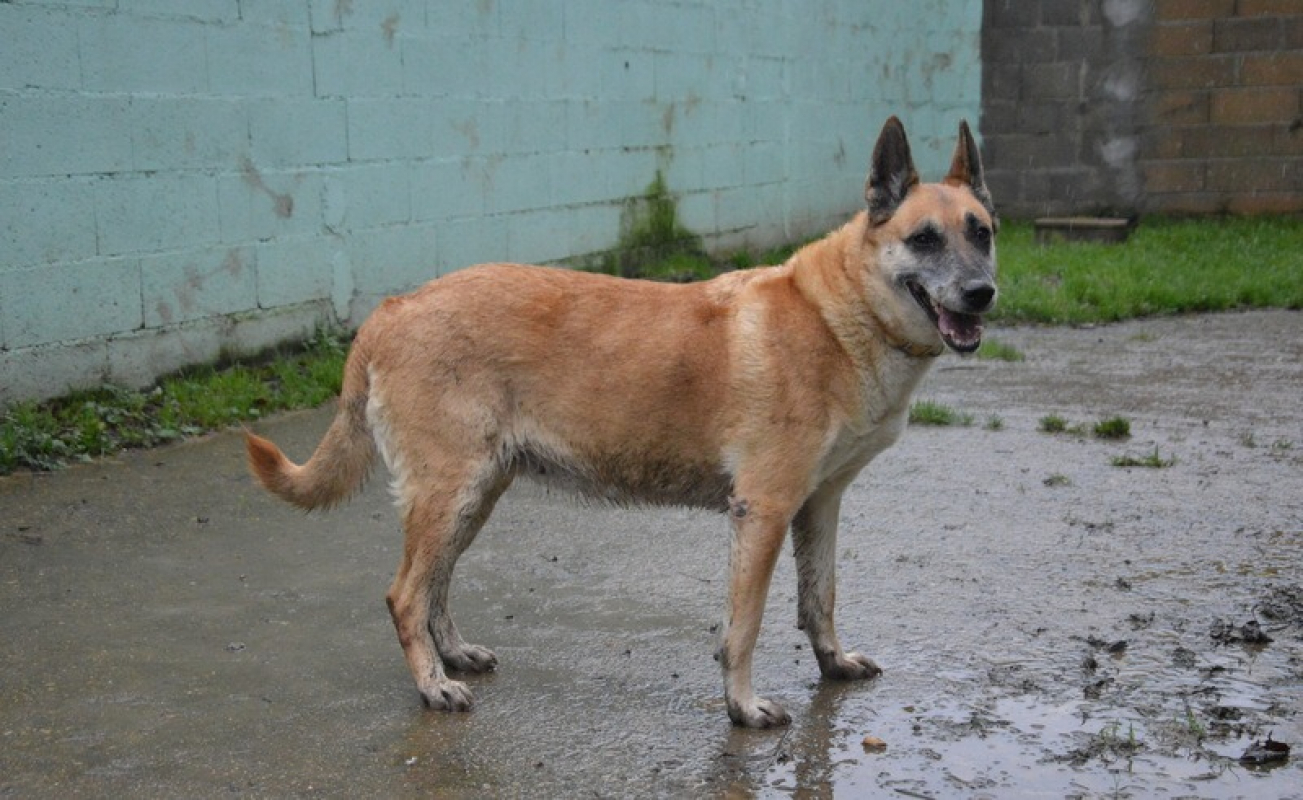 Photo #5 de Lucky dit vicky