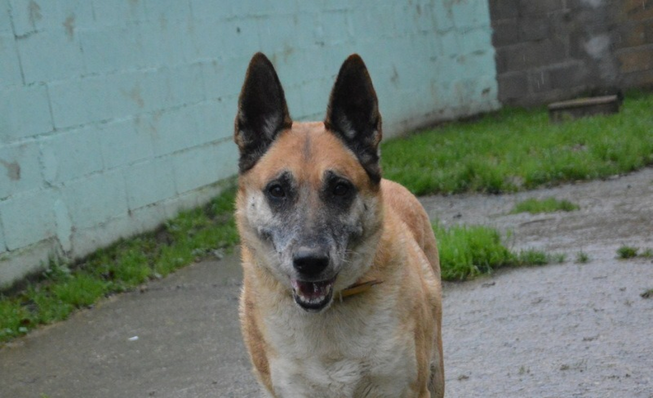 Photo #2 de Lucky dit vicky