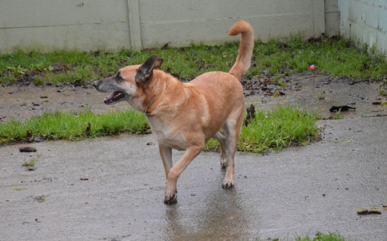 Photo #4 de Lucky dit vicky