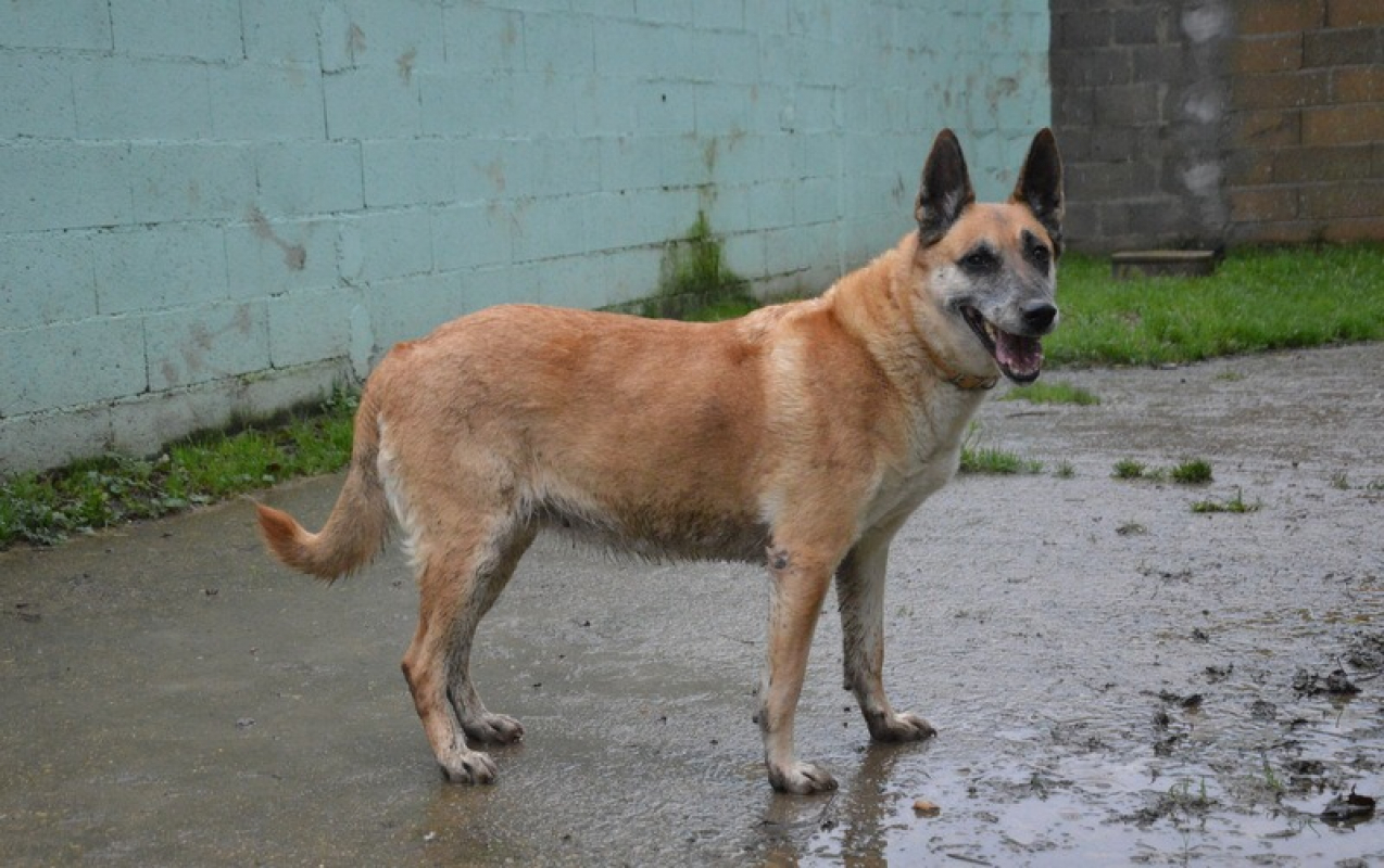 Photo #6 de Lucky dit vicky