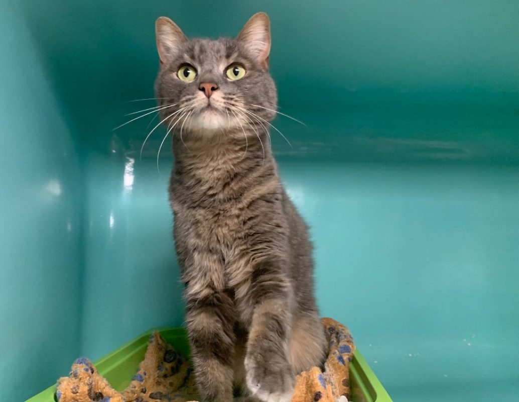 Photo #1 de Giuseppe