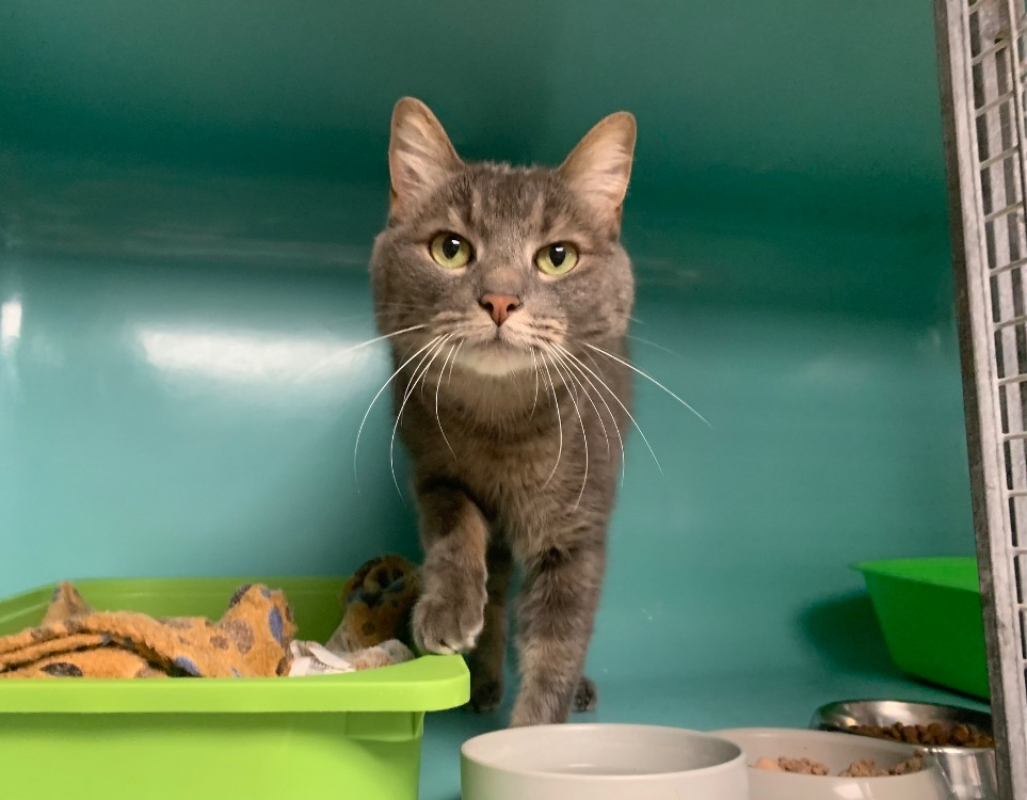 Photo #2 de Giuseppe