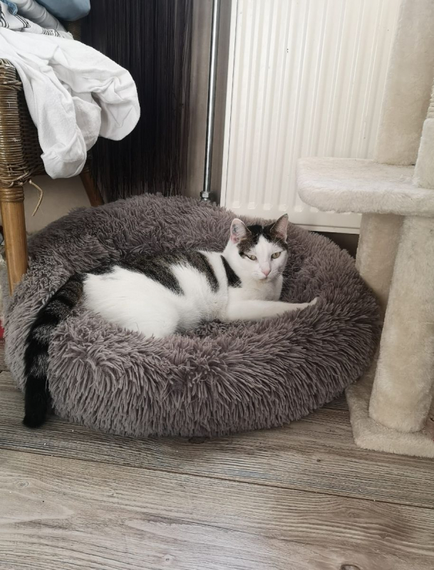 Photo #1 de Mia et Moka