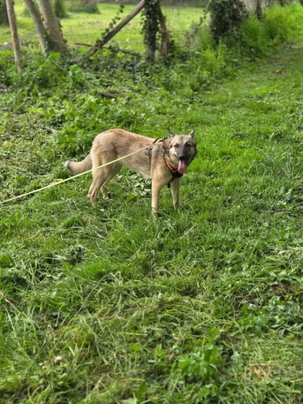 Photo #5 de Ninia