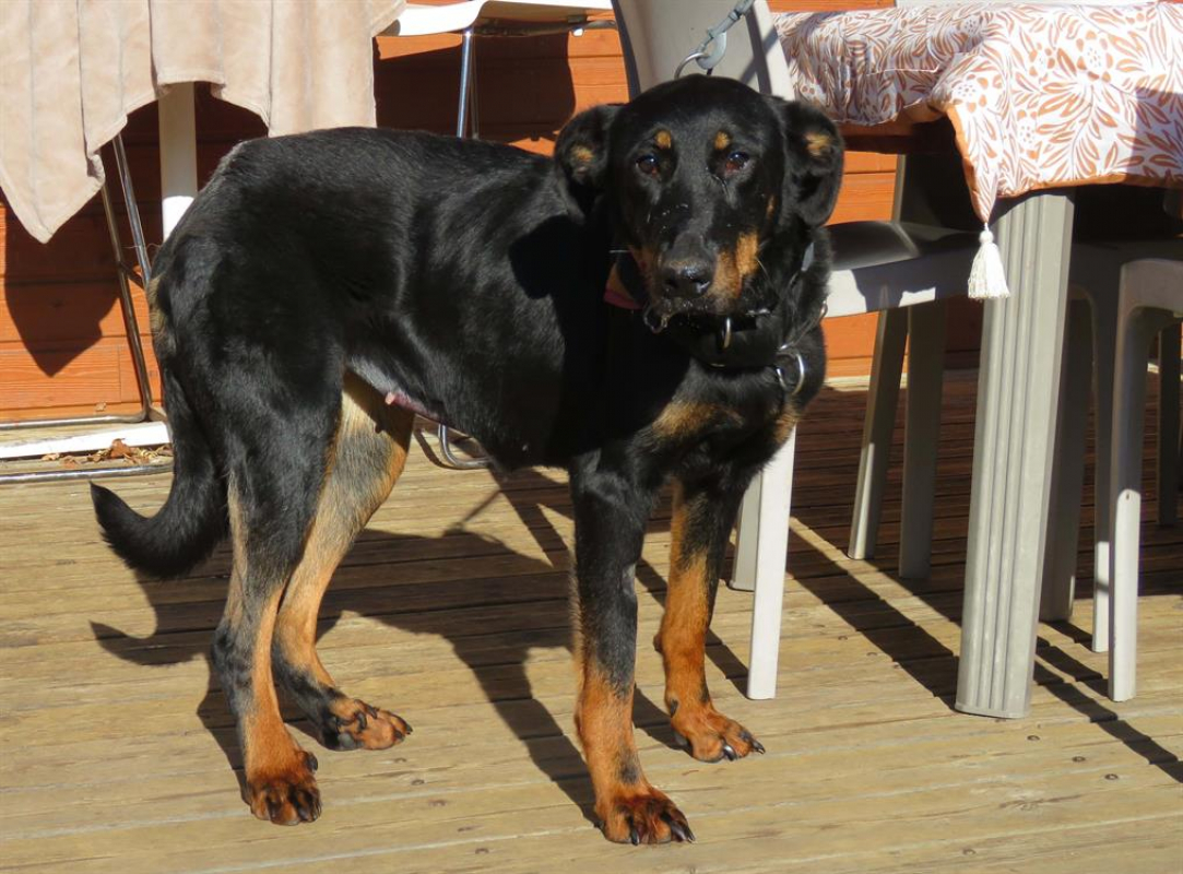 Photo de Venus dite kira