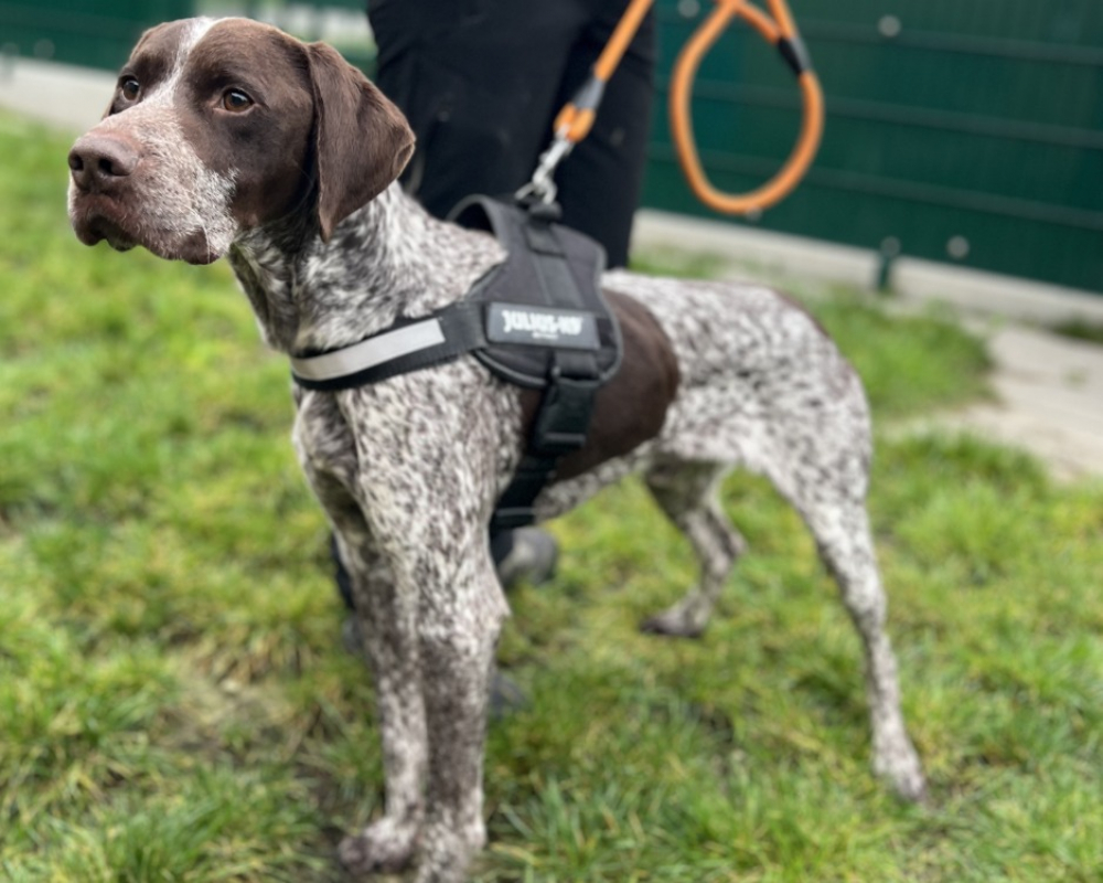 Photo #2 de Cartouche