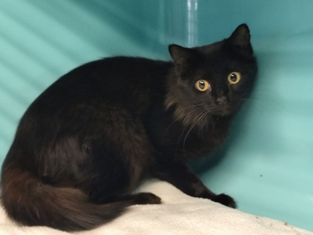 Photo #1 de Isabelle