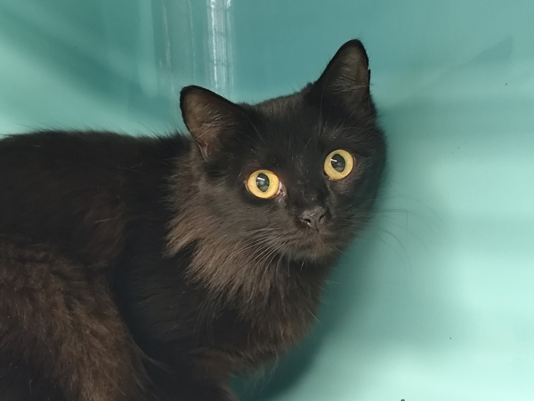 Photo #3 de Isabelle