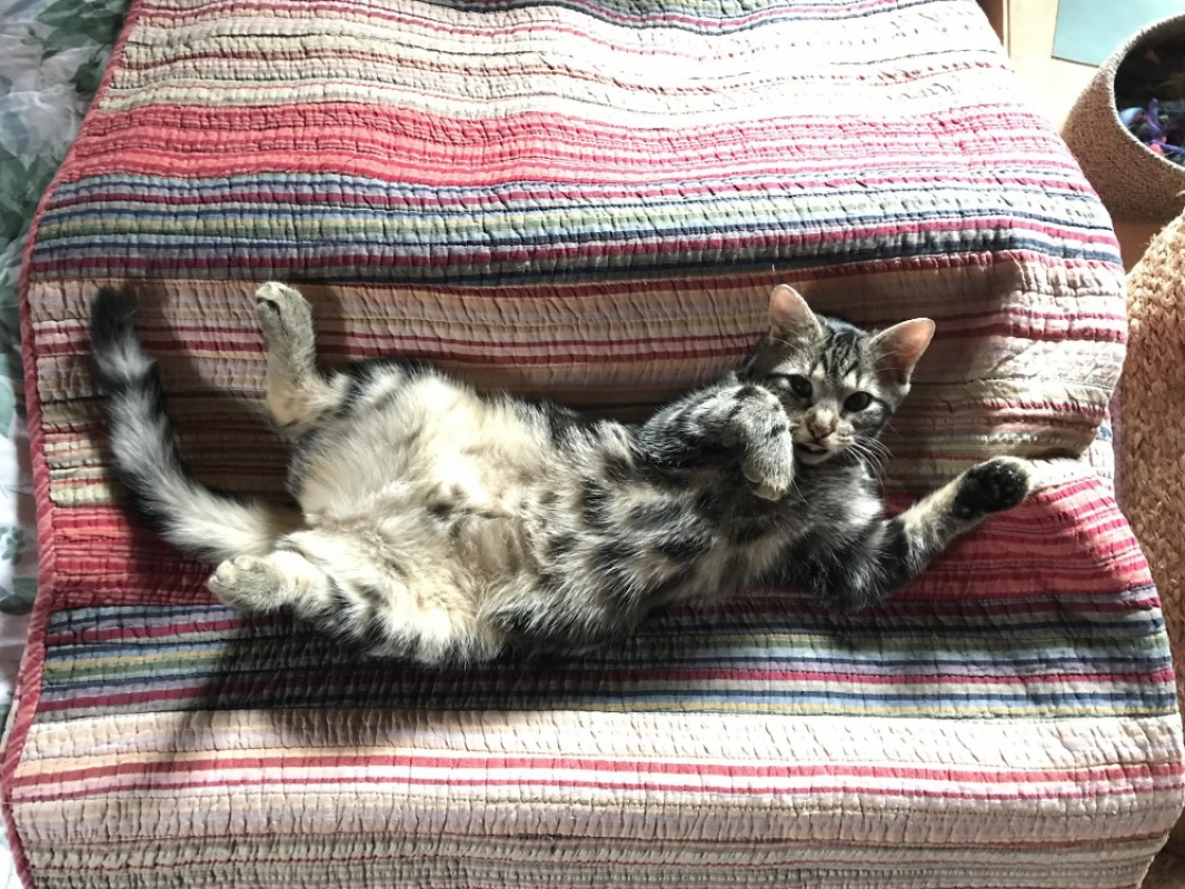 Photo #1 de Mathilda