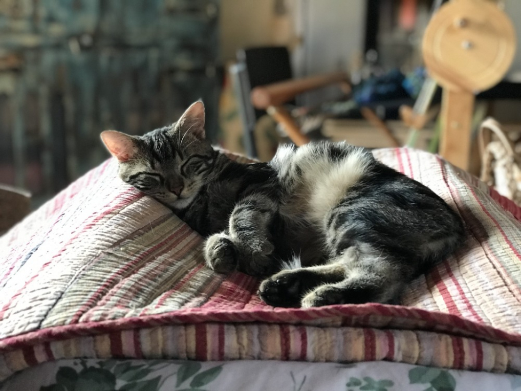 Photo #2 de Mathilda