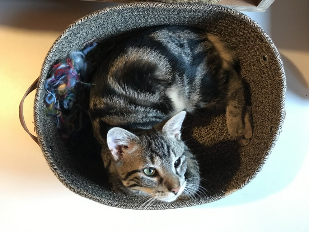 Photo #3 de Mathilda