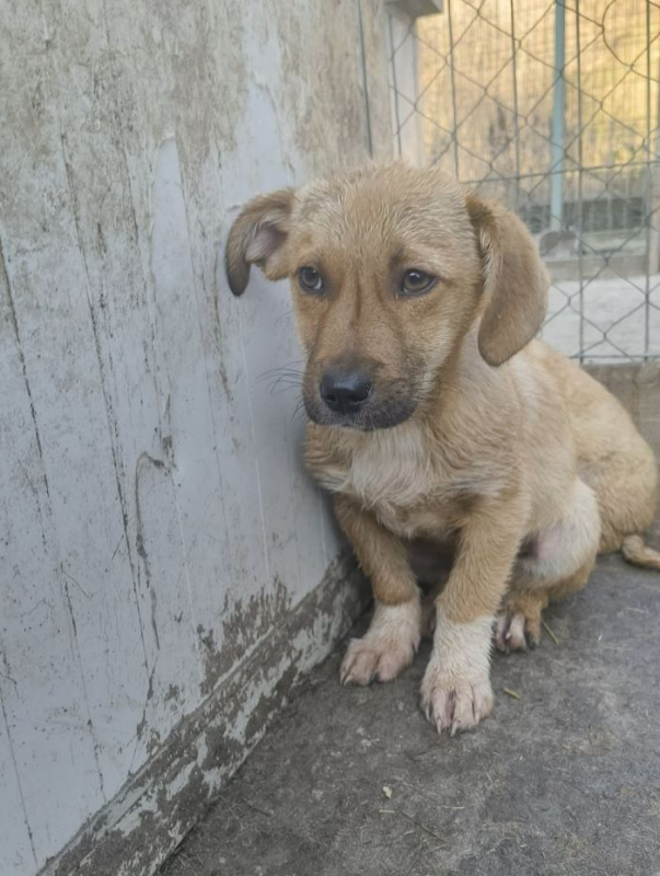 Photo #1 de Bartolomé